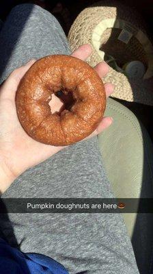 First pumpkin doughnut of the year