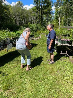 Amanda's Native Garden