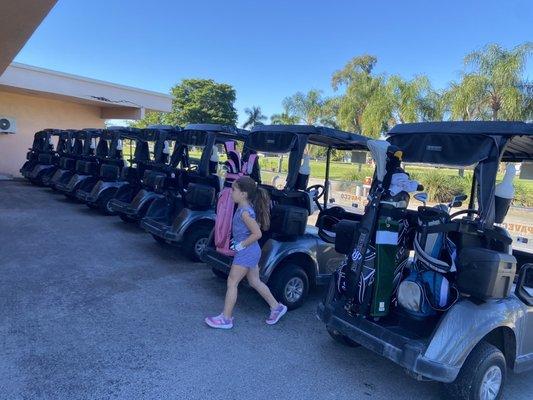 Golf carts lined up