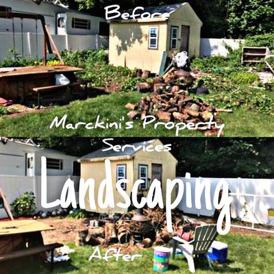 Landscaping Fall and spring cleanup