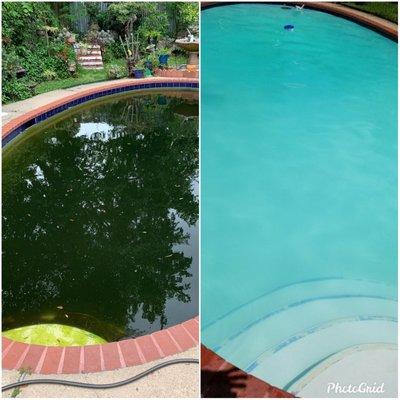 Let us get your green pool back to blue!