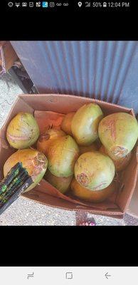 Fresh coconuts to get your fresh LIVE coconut water from on the spot! $4 bucks! Steal!