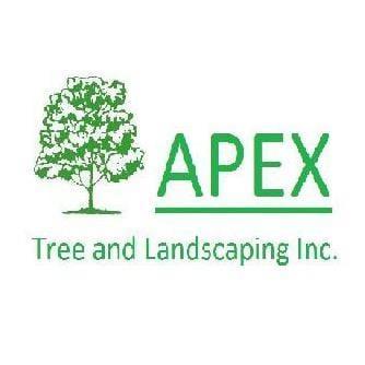 Apex Tree & Landscaping Service Inc logo