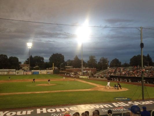 Melaleuca Field.