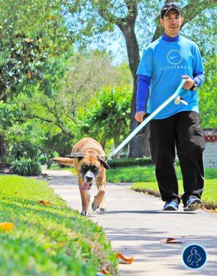 Our dog walking services can be custom fit to your dog's needs. The visit can includes walks, play time, a feeding, etc.