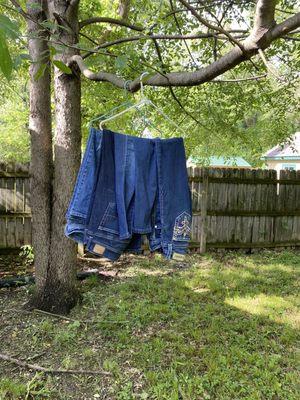 Random jeans the random woman had hung in a tree