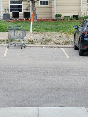 Waterbrook tenants regularly steal shopping carts from local retail stores, ditch them in an adjacent apartment complex parking lot.