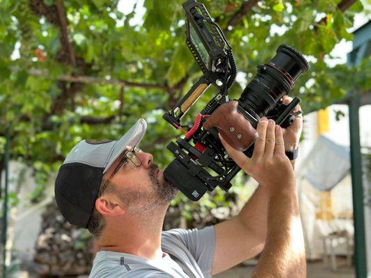 Getting up close and personal with some grapes in Spain.