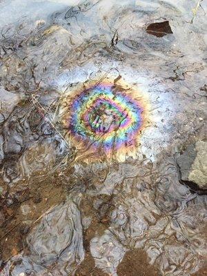 This photo is the result when I dropped 1 drop of Spikenard into living crystal water of the Caddo River