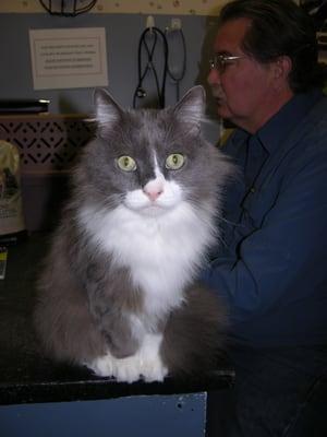 I had FIV (Feline Aids) and Dr. Ingram saved my life. Other vets told my owners to euthanize me. Gabrielle U. Portland, TN