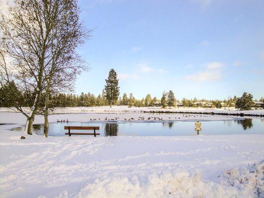 Woodlands Golf Course Under Snow