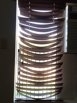 Shutters & Blinds by Pat Nyman