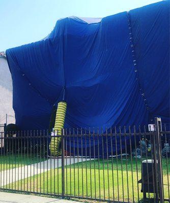 Fumigation job complete! Beautiful tent and well maintained tarps