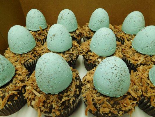 Robin's egg cupcakes- National Capital Area Cupcake Challenge winner- Best Professional Cupcake