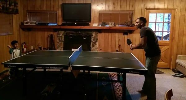 Ping Pong Table - Lower level.