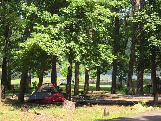 Nice shaded tent/RV site