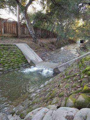 Amazing, first time seeing water in this creek.