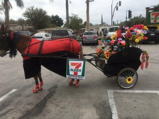 Our contribution to the Norco Labor Day Parade. --September 5, 2016