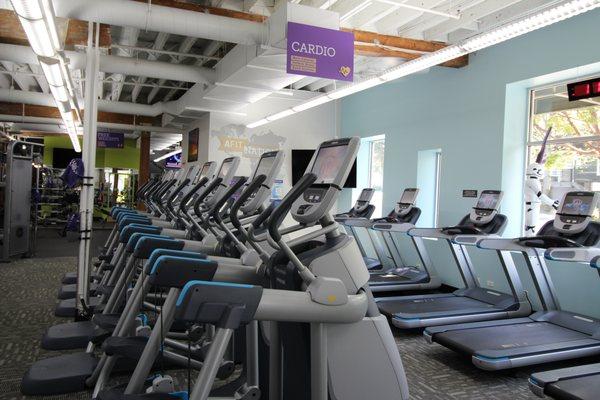 Cardio -AMT's & Treadmills