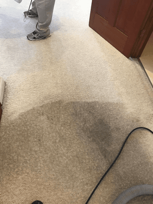 Carpet clean, instantly see the difference!!!