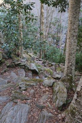 Scenes from the trail (hiking down to the falls). People in distance are at the base.