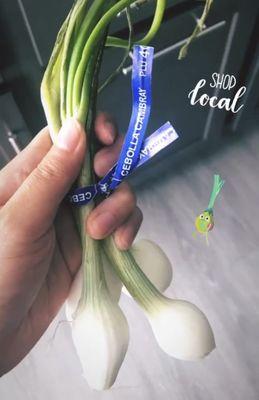 Mexican spring onions