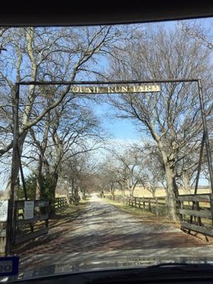 Quail Run Farm