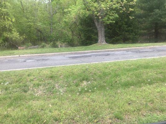 T potholes in a cemetery