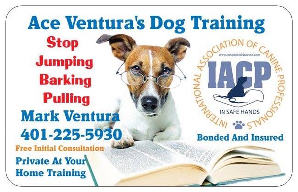 Ace Ventura's Dog Training