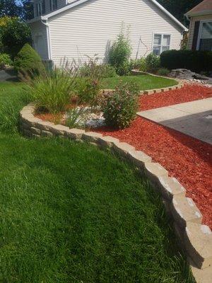 Landscapes growing from shrub head zones. Planted after irrigation was installed