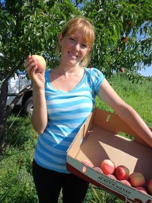 Hilary Barnett picking peaches.