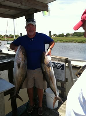 Amberjacks