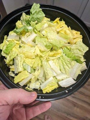 This is their Caesar salad. Wilted iceberg lettuce. If you don't have something, just call and let us know....lettuce know?