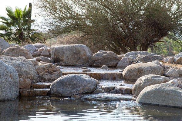 Cabo san lucas rec pond