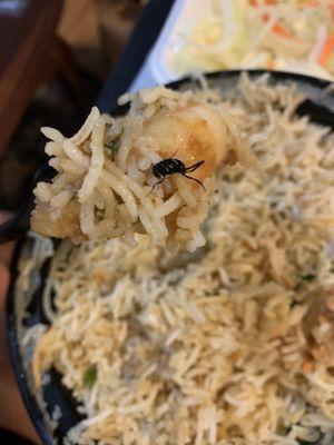 Shrimp Biryani with an insect