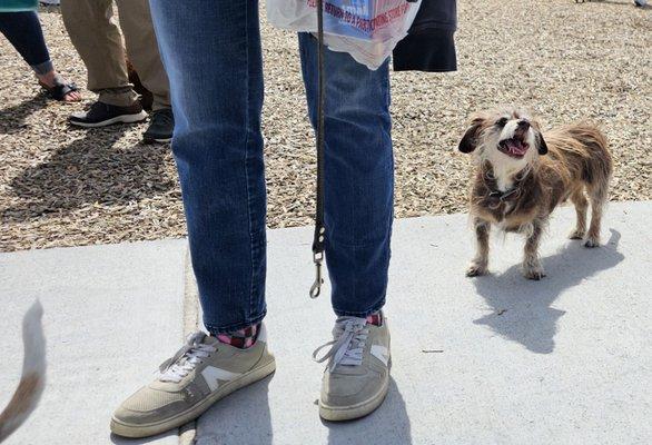 Happy little fella!