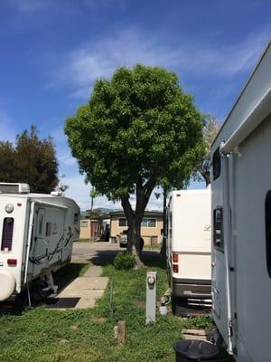 Vasco Mobile Home Park