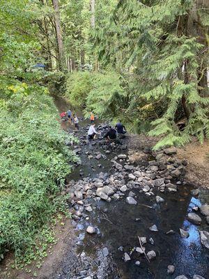 Playing in the creek