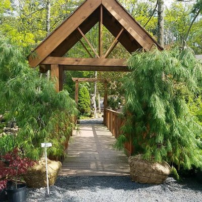 Our beautiful bridge over our babbling brook