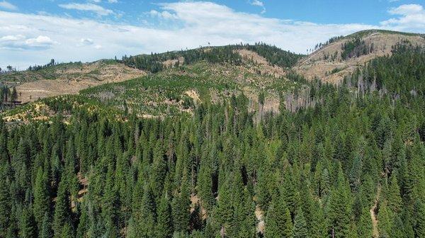 Drone photo: Looking back towards the town of Chester at about 300 feet directly above my site.