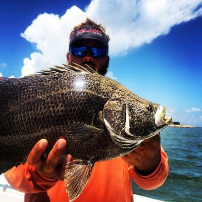 Fishing Charters Galveston. A really nice tripletail from a beachfront fishing trip.