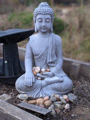 Can't wait until they're beautiful grounds are open again. I took a picture of this peaceful little guy in the garden a couple years ago.