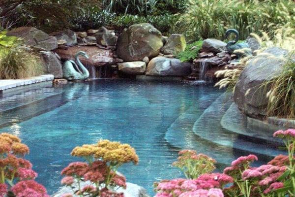 Custom Natural in ground concrete swimming pool in Grasonville Md, located on the Eastern Shore. waterfalls, landscaping