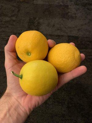 big handful of nice lemons