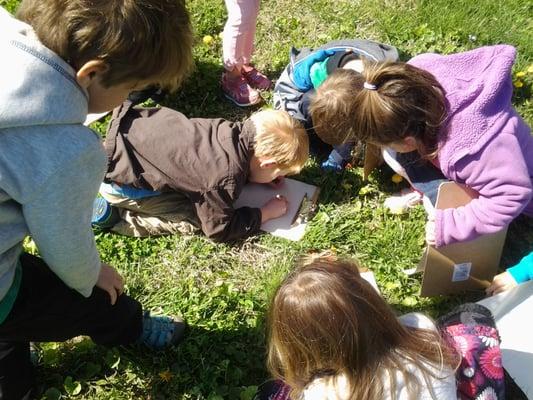 Investigating outside.