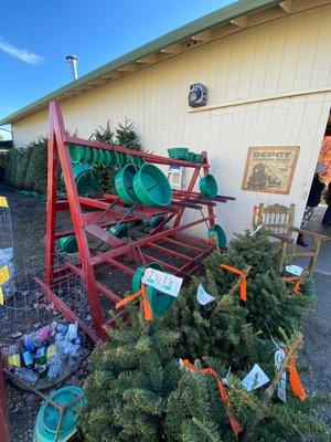 Reindeer Ridge Christmas Tree Farm