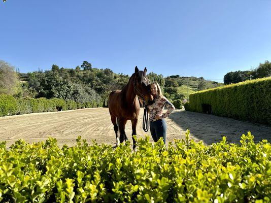 Laura has a beautiful, hedge lined, full dressage court to train in!