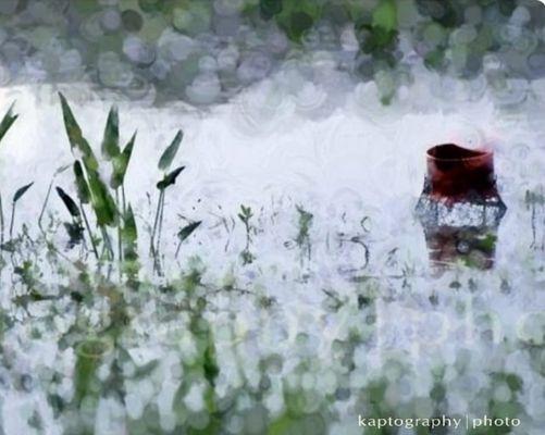 Gueydan Crawfish Ponds