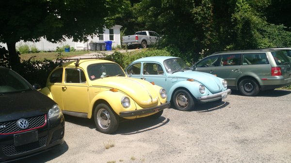 Old bugs