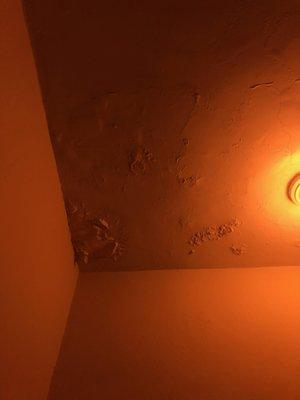 Bathroom ceiling pieces falling off from water damage